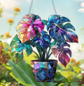 Acrylic Suncatcher - Galaxy Planter